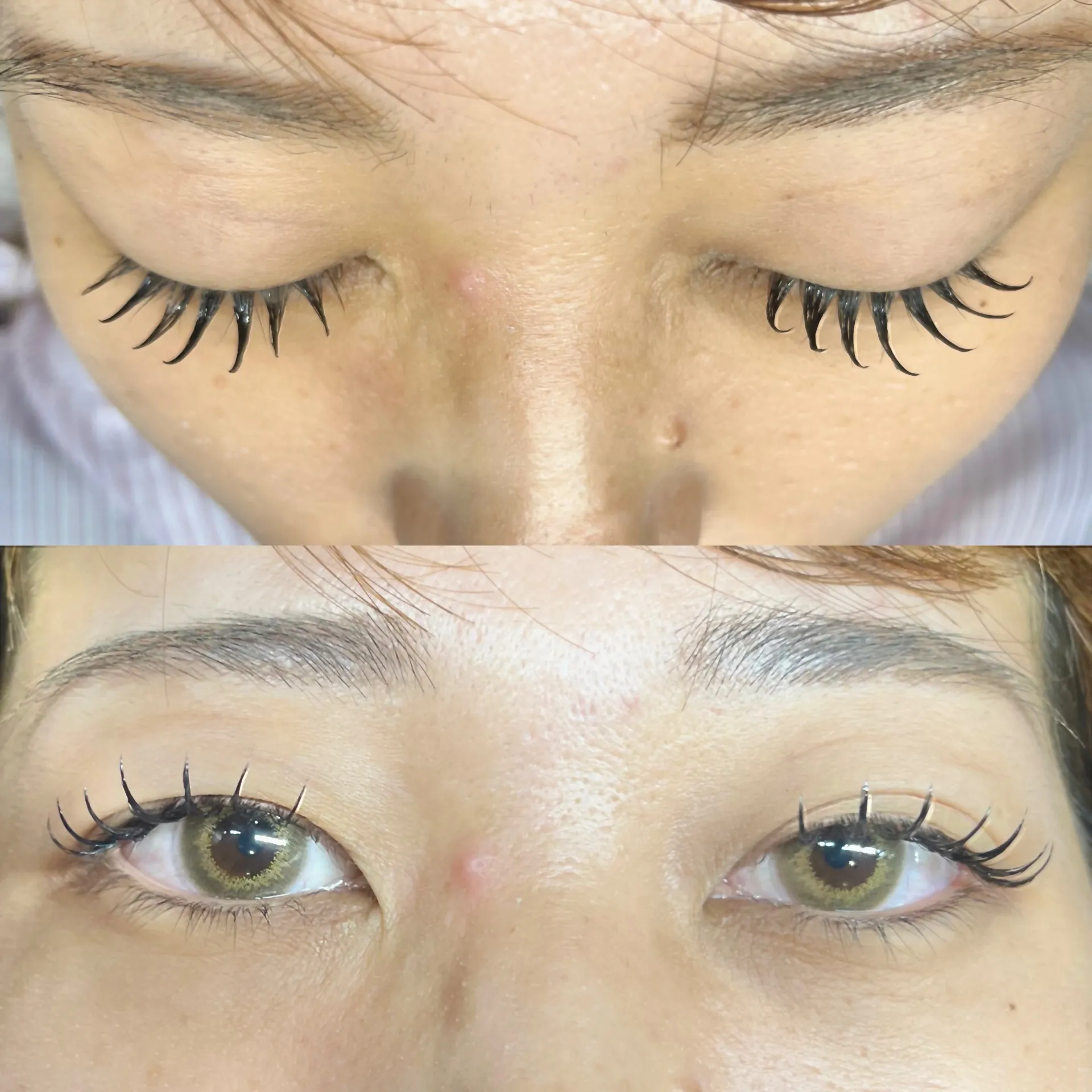 フラットラッシュの魅力 選ばれる理由